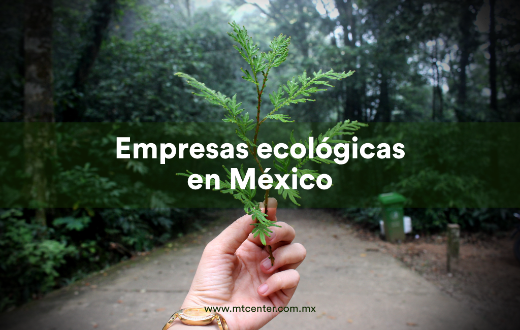Empresas-ecológicas-en-México